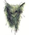 Thumbnail for version as of 19:07, 21 January 2025