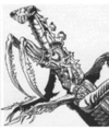 Thumbnail for version as of 19:31, 21 January 2025