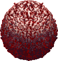 Thumbnail for version as of 18:17, 21 January 2025