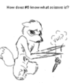 Thumbnail for version as of 19:22, 21 January 2025