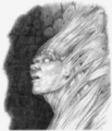 Thumbnail for version as of 18:14, 21 January 2025