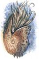 Thumbnail for version as of 20:12, 21 January 2025