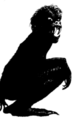 Thumbnail for version as of 20:09, 21 January 2025