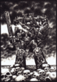 Thumbnail for version as of 18:44, 21 January 2025