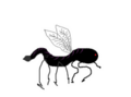 Thumbnail for version as of 20:11, 21 January 2025