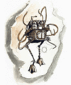 Thumbnail for version as of 18:21, 21 January 2025