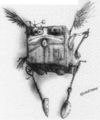 Thumbnail for version as of 19:57, 21 January 2025