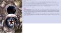 Thumbnail for version as of 20:11, 21 January 2025