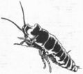 Thumbnail for version as of 20:14, 21 January 2025