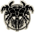 Thumbnail for version as of 18:27, 21 January 2025