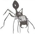Thumbnail for version as of 20:08, 21 January 2025