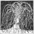 Thumbnail for version as of 20:13, 21 January 2025