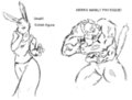 Thumbnail for version as of 19:42, 21 January 2025