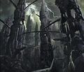 Thumbnail for version as of 20:12, 21 January 2025