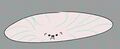 Thumbnail for version as of 20:11, 21 January 2025