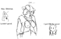 Thumbnail for version as of 19:51, 21 January 2025