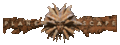 Thumbnail for version as of 19:55, 21 January 2025