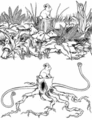 Thumbnail for version as of 20:15, 21 January 2025