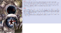 Thumbnail for version as of 20:11, 21 January 2025