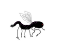 Thumbnail for version as of 20:11, 21 January 2025