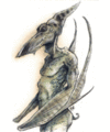 Thumbnail for version as of 18:19, 21 January 2025