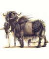 Thumbnail for version as of 20:15, 21 January 2025