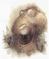 Thumbnail for version as of 19:42, 21 January 2025