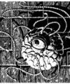 Thumbnail for version as of 18:48, 21 January 2025