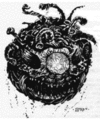 Thumbnail for version as of 18:23, 21 January 2025