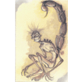Thumbnail for version as of 18:11, 21 January 2025