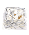Thumbnail for version as of 18:09, 21 January 2025