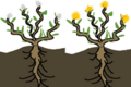 Thumbnail for version as of 20:11, 21 January 2025