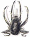 Thumbnail for version as of 18:30, 21 January 2025