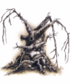 Thumbnail for version as of 19:17, 21 January 2025