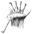 Thumbnail for version as of 20:14, 21 January 2025