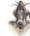 Thumbnail for version as of 18:44, 21 January 2025
