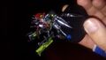 Thumbnail for version as of 17:08, 21 January 2025