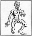 Thumbnail for version as of 20:10, 21 January 2025