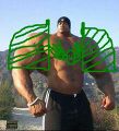 Thumbnail for version as of 20:10, 21 January 2025
