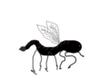 Thumbnail for version as of 20:11, 21 January 2025