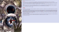 Thumbnail for version as of 20:11, 21 January 2025