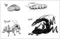 Thumbnail for version as of 20:10, 21 January 2025