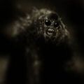Thumbnail for version as of 20:09, 21 January 2025