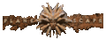 Thumbnail for version as of 19:55, 21 January 2025