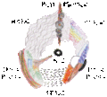 Thumbnail for version as of 17:35, 21 January 2025