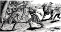 Thumbnail for version as of 20:11, 21 January 2025