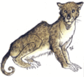 Thumbnail for version as of 18:03, 21 January 2025