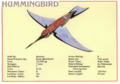 Thumbnail for version as of 20:10, 21 January 2025