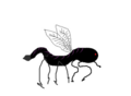 Thumbnail for version as of 20:11, 21 January 2025