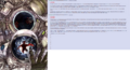 Thumbnail for version as of 20:11, 21 January 2025